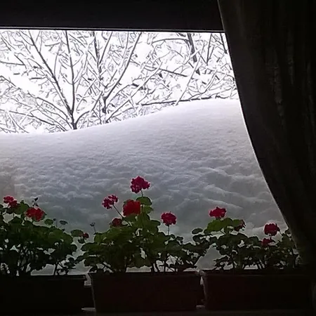 ホテル Il Ghiro オヴィンドリ